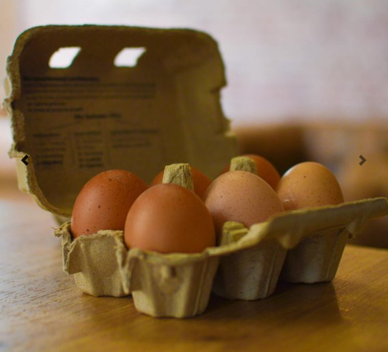 Free range eggs organic, pack of 6
